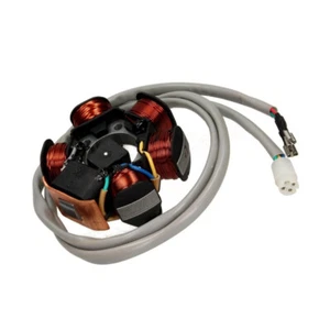 Alternator do Piaggio Free/Liberty/NRG/NTT/SKR/Sfera/Typhoon/Zip 50 - Zdjęcie 1 z 3