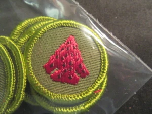 Indian Lore Twill Merit Badge c55 - Imagen 1 de 1