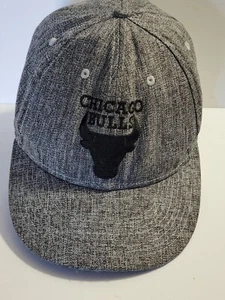 Chicago Bulls Snapback Trucker Hat Gray Black Vintage - Picture 1 of 6