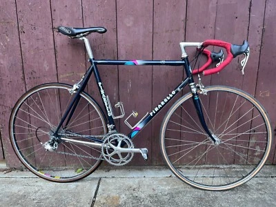 Bicicleta de carretera Pinarello Dyna Lite 1995 - Pegoretti - Campagnolo Record Foto 1 de 4