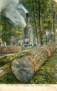 LOGGING SZENE IN DER NÄHE VON CENTRALIA, WASHIGTON, ALTE POSTKARTE (W788) - Bild 1 von 2