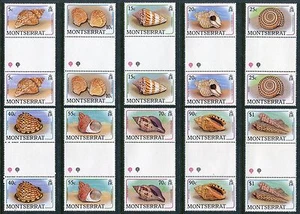 Montserrat 681-96 Estampillada sin montar o nunca montada Sea Shells 1988 Tulipán dorado, vieira Little Knobby x12088 - Imagen 1 de 1