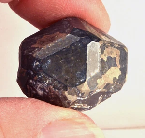 #8354 Pyrite with Bornite coating - Milpillas Mine, Mexico [20.6 Grams] - Picture 1 of 7