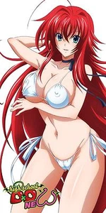 Alta Scuola Dxd Rias IN Bikini Asciugamano Telo Mare 75 X 150 CM Originale - Picture 1 of 1