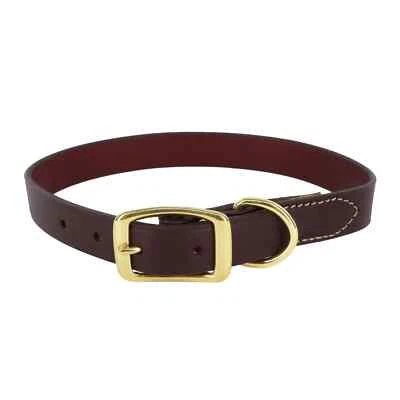 Circle T Latigo Leather Town Dog Collar with Brass Hardware - Image 1 of 4