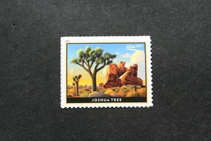 Joshua Tree stamp, MNH, USPS Priority Mail, 2019, Scott #5347 - Picture 1 of 3