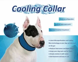 PET COOLING COLLAR - DOG CAT - small - medium or large 'DELUXE' cool collar - Picture 1 of 2