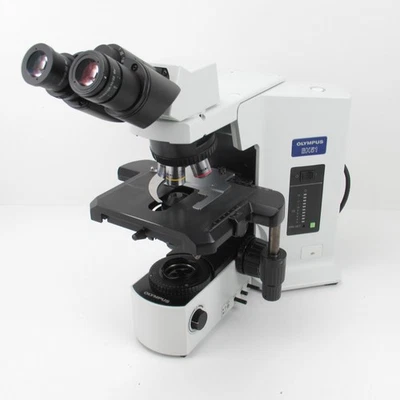 БИНОКУЛЯРНЫЙ МИКРОСКОП OLYMPUS BX51 С ОБЪЕКТИВАМИ 4X/10X/40X - BX51TF - Изображение 1 из 4