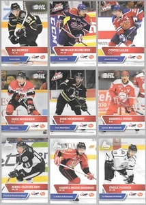 U PICK EM LOT 2013-14 13-14 Post Cereal CHL Collection Card Set #1-24 Horvat - Picture 1 of 3