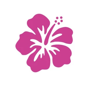 Calcomanía/pegatina para coche con flores de hibisco hawaiano - parachoques para coche de playa isla rosa niña - Imagen 1 de 7