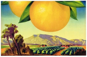 ORIGINAL LEERE KISTE LAGER ETIKETT 40ER JAHRE CALIFORNIA PLEIN AIRE VINTAGE LANDSCHAFT - Bild 1 von 1