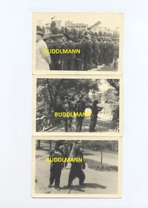 3 Fotos Wehrmacht Rumänien Offiziere Bevölkerung Sinti Roma Bär 1941 - Picture 1 of 2