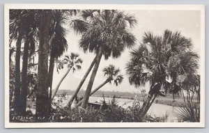 Postcard RPPC of a River from the Shoreline - Picture 1 of 2