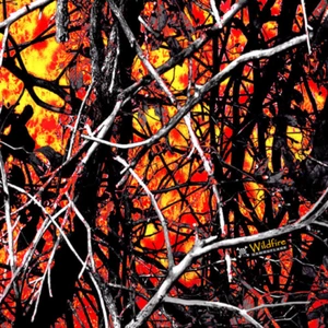 Wildfire vinyl Wrap air release MATTE Finish 12"x12" - Picture 1 of 1