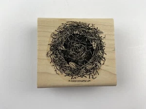 BIRD NEST SPECKLED EGG SET SOFT AS A FEATHER Rubber Stamp Stampin' Up textured - Picture 1 of 4