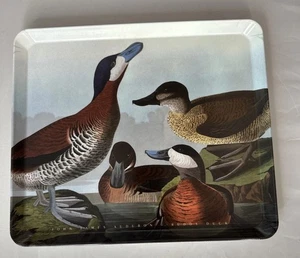 Vintage John James Audubon Ruddy Duck Serving Tray Made in Italy - Picture 1 of 7
