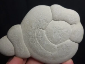 Feenstein, Tonkonkretion aus Quebec, Kanada 4"x3" (5,2 oz) - Bild 1 von 5