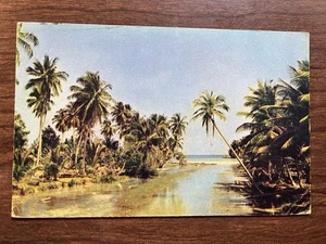 White River, St. Ann, Jamaica, BWI Postcard ~ Unposted, DB - Picture 1 of 2