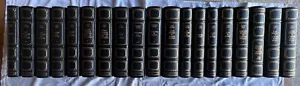 19 Volumes en parfait état - Imagen 1 de 17