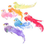 Artificial Foam Feathered Birds Clip-On Ornaments - 12/24Pcs