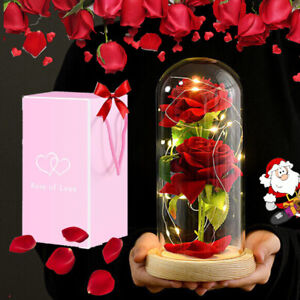 LED Ewige Rose im Glas für Frauen Geburtstag Schöne Biest Valentinstag Geschenk