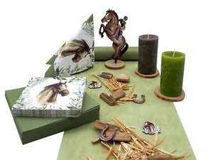 Tischdeko Pferd Reiten Olive Braun Kindergeburtstag 20 Personen - Bild 1 von 4