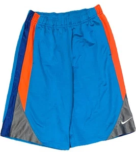 Nike Shorts Youth Boys Large Bluegreen Sweat Gym Athleisure 10” Inseam - Picture 1 of 4