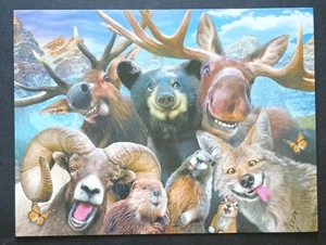 Funny Birthday card  - Picture 1 of 4