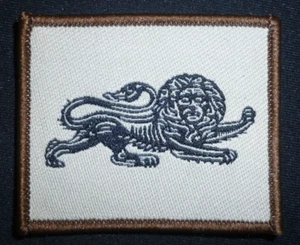DUKE OF LANCASTERS REGIMENT TACTICAL RECOGNITION FLASH . - Picture 1 of 1