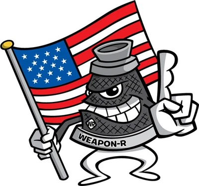 Weapon-R Dragon Air Intake System for 2003-2006 NISSAN 350Z - Image 1 of 3