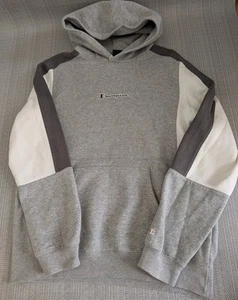 Champion Hooded Grey Graphic Logo Sweatshirt Jumper Men's Size Large - Picture 1 of 4