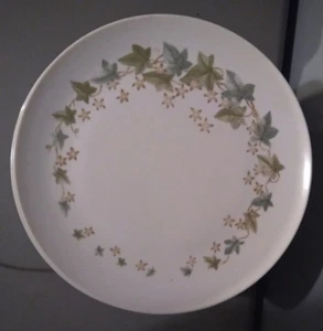 Platos de cena retro Boonton Ware Somerset patrón IVY 27 piezas hechos en EE. UU. - Imagen 1 de 4
