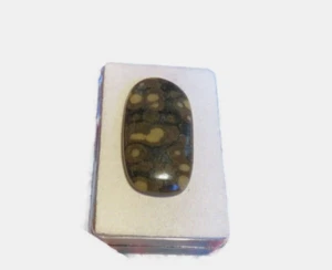 Skapolith in Glimmer Scapolite Mica Cabochons 36,3x19 mm 36 ct. Nr. U28513 - Bild 1 von 1