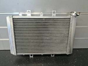 Radiator for Yamaha YFM 700 Grizzly Kodiak 700 15-25 - Picture 1 of 4