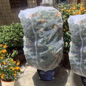 Agfabric 72"Hx72''W Plant Cover Fruit Tree Netting Mesh Protect Bag with Zipper - Picture 1 of 7