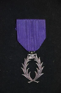 SUPERBES PALMES DE CHEVALIER-ORDRE DES PALMES ACADEMIQUES-EDUCATION-ENSEIGNEMENT - Imagen 1 de 2