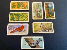 Lot of 7 RED ROSE BLUE RIBBON TEA CARDS  Trees & Birds 1960's