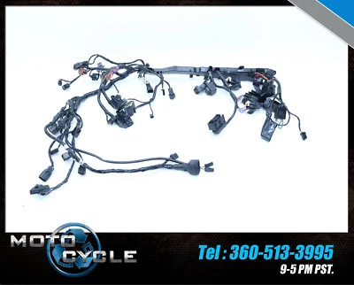 15 2015 Triumph Street Triple R RX 675RX 675 motor principal arnés de cables cableado T16 Foto 1 de 4