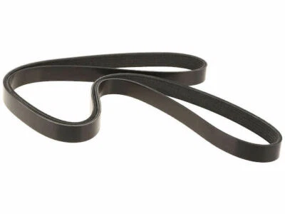 Jeep Wrangler 1991-1995 Multi Rib Belt Dayco 44312RV 1992 1993 1994 Foto 1 de 2