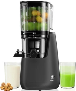 Kaltpresse Entsafter, 6,5" extra großer Futterschacht Entsafter Maschinen, Freisprecheinrichtung 350W - Bild 1 von 9