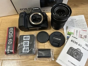 Canon EOS 6D Mark2 EF24-105 IS STM Kit 212073 - Picture 1 of 12