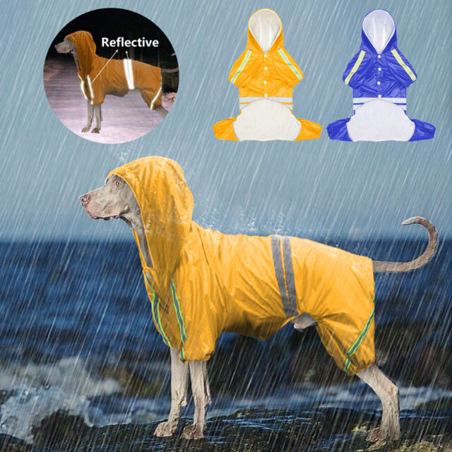 Chubasquero impermeable para perros azul marino - AnimalComfort
