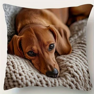 NEW 18"x18" Dachshund Dog Throw Pillow Cover Double Sided Pet Lover Home Decor - Picture 1 of 2
