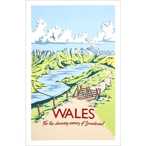 TOALLA DE TÉ DE ALGODÓN GALES Kelly Hall Ilustración Inglesa Pintura Textiles de Cocina - Imagen 1 de 2