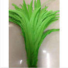 Wholesale! 10-2000 Pcs Beautiful Rooster Tail Feathers 12-14 Inches/30-35cm