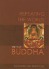 Tulku Urgyen Rinpoche Repeating the Words of the Buddha (Paperback)
