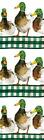 Happy Mallards Bookmark Alex Clark Ducks Books College Uni Reading Bm62