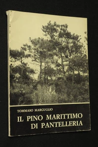 Piante Botanica Sicilia Il pino marittimo di Pantelleria Marguglio 1972 - Foto 1 di 1