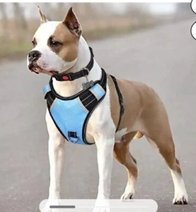 BABYLTRL No-Pull Adjustable Reflective Dog Harness With Collar Medium Sky Blue - Picture 1 of 3