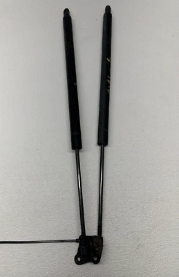 Toyota Sequoia 2001-2006 puerta levadiza trasera puerta trasera escotilla elevadora soporte puntal conjunto OEM Foto 1 de 4